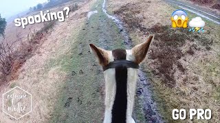 horse in a storm😱 spooking  GO PRO  equinemollie [upl. by Ragland]