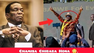 Finally Zanu PF Yazobvuma Kuti Chamisa ndiPresident 😳 [upl. by Liesa329]