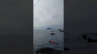 Old Haenyeo woman divers are jumping into the deep sea to catch seashells at Forest island섶섬 [upl. by Ly]