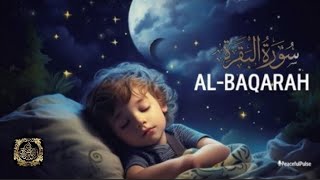 quotDiscover the power of surah Al Baqrah Faith Wisdomand Spiritualityquot sleep with Quranyoutube [upl. by Dan]