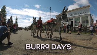 Fairplay Colorado hosts its 69th Annual Burro Days [upl. by Annauqal]