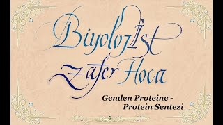 AYT amp Genden Proteine amp Protein Sentezi [upl. by Eyde]