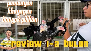 Review februari 2024 Boy sango farm Banyak pilihan [upl. by Bernardi528]