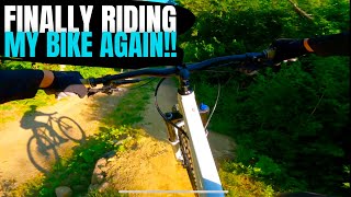 This MTB Trail System KEEPS GETTING BETTER  Creekside Trails [upl. by Akeryt]