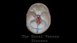 Dural Venous Sinuses [upl. by Dianne]