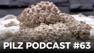 Pilz Podcast 63 [upl. by Esinyl]