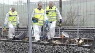 Employés dAlstom fauchés par un train  enquête en cours [upl. by Panaggio]