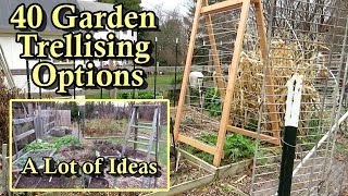 40 Garden Trellising Examples for Growing Vegetables Vertically All DIY Budget Friendly Options [upl. by Iand]