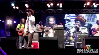 Cocoa Tea  Rikers Island  9 Mile Music Festival 332012 [upl. by Mavis43]