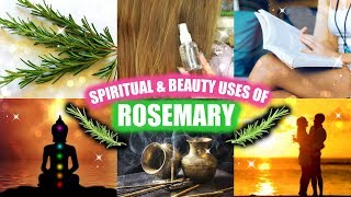 ROSEMARY BEAUTY amp SPIRITUAL USES │ CLEANSING STUDYING HAIR amp SKIN TONER LOVE amp MORE [upl. by Gebhardt]