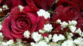 Le pouvoir des fleurs  LES ENFOIRES wmv [upl. by Kaylyn]