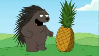 Porcupine meeting a pineapple [upl. by Neelloj]