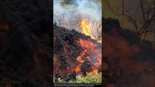 Which Type of Lava Flow is Fastest [upl. by Red817]