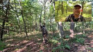 Hunting squirrel with FX air rifle in July  Tua nas nrog phom cua FX EP 5 [upl. by Ainirtac385]