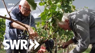 Spuren im Stein  Der Kaiserstuhl  SWR Geschichte amp Entdeckungen [upl. by Netsryk]