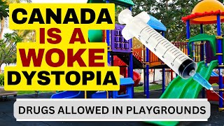 Canadian Judge Rules Addicts Can Use At Playgrounds canadaisbroken [upl. by Anawaj370]