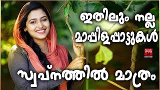 Malayalam Mappila Songs  Old Mappilappattukal  Mappilapattukal  Mappila Pattukal Malayalam [upl. by Eelarac744]