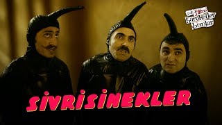 Çok Filim Hareketler Bunlar  Sivrisinekler [upl. by Ettennad]