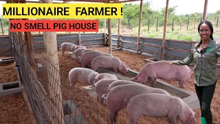 How To Make Millions In A Simple PIG Farm Business  2024 Farm Routine [upl. by Wright]