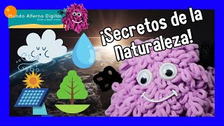 ¿Sabes Qué es un Recurso Natural  Curiosidades [upl. by Atinej]