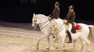 The Spanish Riding School of Vienna 04 [upl. by Efioa]