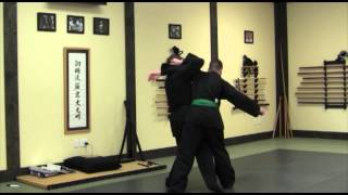 Hoko No Kamae Kihon Gata quotEncircling Posture Basic Examplequot [upl. by Ianej314]