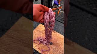 Brain Dead Influencer Throws Away Thousands of Dollars Worth of Lobster😡 shortvideo shorts [upl. by Noremac]