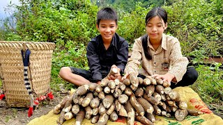 The homeless boy and the poor girl built a bathroom picked tangerines and dug up cassava to sell [upl. by Retxab352]