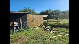 THE FARMHOUSE Making it into a Homestead Moving the chicks Building a cattle shelter Cooking [upl. by Amorete22]