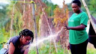 REVENGE OF A SORROWFUL GHOST 3amp4  MARY IGWELIZZY GOLD 2024 LATEST NIGERIAN NOLLYWOOD MOVIE [upl. by Anihc]