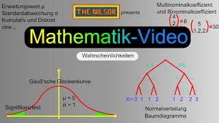 TheNilsor  Mathematik  Exponentialverteilung [upl. by Nikki]