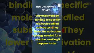 Ep 1 Introduction to Enzymes healthtips enzymes facts viralvideo wellnessguidehub trending [upl. by Myrah764]