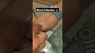 Blood Collection 🩸bloodtest lab bloodcollection safecarepoint [upl. by Bernadene997]