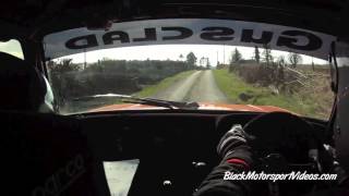 James McCarville amp Emmet Sherry  Midland Stages Rally 2016  Stage 4 [upl. by Aynam]