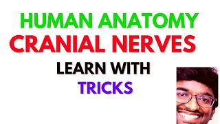 CRANIAL NERVES  TRICKS to LEARN  ANATOMY  MHSRB PHARMACIST RRB PHARMACIST  subscribe [upl. by Sisak]