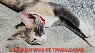 Las aventuras de tragaldabas ep 1 [upl. by Lyrrehs833]