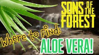 Sons of the Forest Where to Get Aloe Vera [upl. by Nibor]