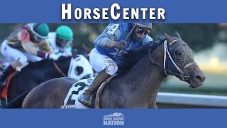 Preakness Stakes and BlackEyed Susan top picks on HorseCenter [upl. by Nnylaf]