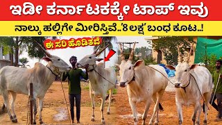 ಇಡೀ ಕರ್ನಾಟಕದಲ್ಲೇ ಟಾಪ್ ಇವು l Hallikar bull in Karnataka l hallikar hori cow Kannada l Krushi Farming [upl. by Natanoy]