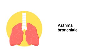 Asthma bronchiale  Erkrankungen der Atemwege [upl. by Easton]