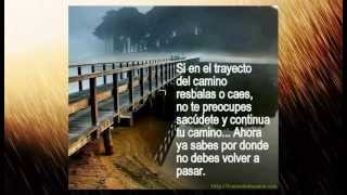 Frases Para Reflexionar  Frases para Pensar  Frases Bonitas y Chistosas [upl. by Tanya281]