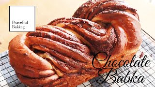 Chocolate Babka Without Stand MixerASMR [upl. by Hsara]