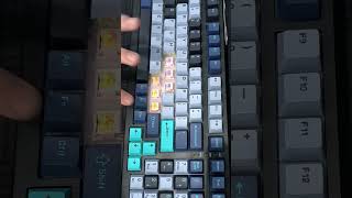 Tactile vs Linear switches in mechanical keyboard Sound comparision shortvideo shorts [upl. by Leivad]