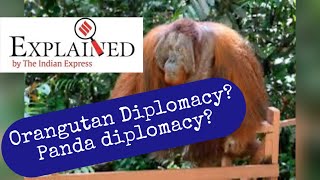 Indian Express 11th May Orangutan Diplomacy Panda Diplomacy [upl. by Swinton]