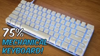 Ajazz AK33 Zorro Keyswitches 75 Gaming Mechanical Keyboard  Unboxing amp Review [upl. by Lasonde]