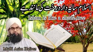 Islam is like a shade tree dar al aloom ilm wa Amal Mufti Asim Hafeez almaroof lslmaic [upl. by Berk]