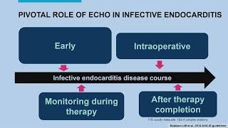 INFECTIVE ENDOCARDITISMAYO CLINIC [upl. by Lacee]