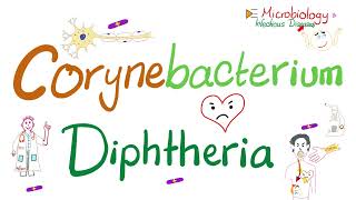 Corynebacterium Diphtheriae Characteristics  Microbiology 🧫 amp Infectious Diseases [upl. by Eenimod515]