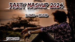 Party Mashup 2024  Romaintic Hindi Love Songs  Love Mashup [upl. by Acnaib93]