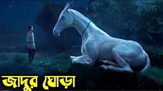 Upon the Magic Roads 2021 পুরো সিনেমা বাংলায়  Movie Explained in Bangla [upl. by Nehr]